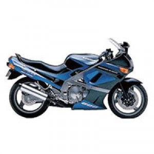 Comprar Carenados Kawasaki ZZR600 1998-2003