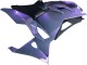 Comprar Carenados Moto Kawasaki Ninja 500 EX500R 2024-2025 - Camaleón Gris Dazz Púrpura Perla