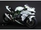 Comprar Carenados Moto Kawasaki Ninja H2 2015-2022 - Blanco Plata Verde