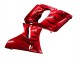 Comprar Carenados Moto Kawasaki ZZR600 1998-2003 - Rojo Negro Llama