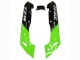 Comprar Carenados Moto Kawasaki ZZR600 1998-2003 - Verde Negro Brillante Llama