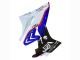 Comprar Carenado Moto BMW S1000RR 2017-2018 - Blanco Azul Rojo Negro Brillante