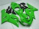 Comprar Carenado Moto Kawasaki ZX6R 2005-2006 - Verde