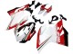 Comprar Carenados Moto Ducati 1199 2011-2014 - Blanco Rojo Verde Negro Brillante