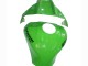 Comprar Carenados Moto Kawasaki ZX10R 2021-2025 - Verde Negro Brillante