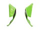 Comprar Carenados Moto Kawasaki ZX10R 2021-2025 - Verde Negro Rojo