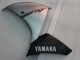 Comprar Carenado Moto Yamaha YZF 1000 R1 2009-2011 - Plata Negro