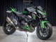 Comprar Carenados Moto Kawasaki Z800 2013-2018 - Verde Negro Brillante